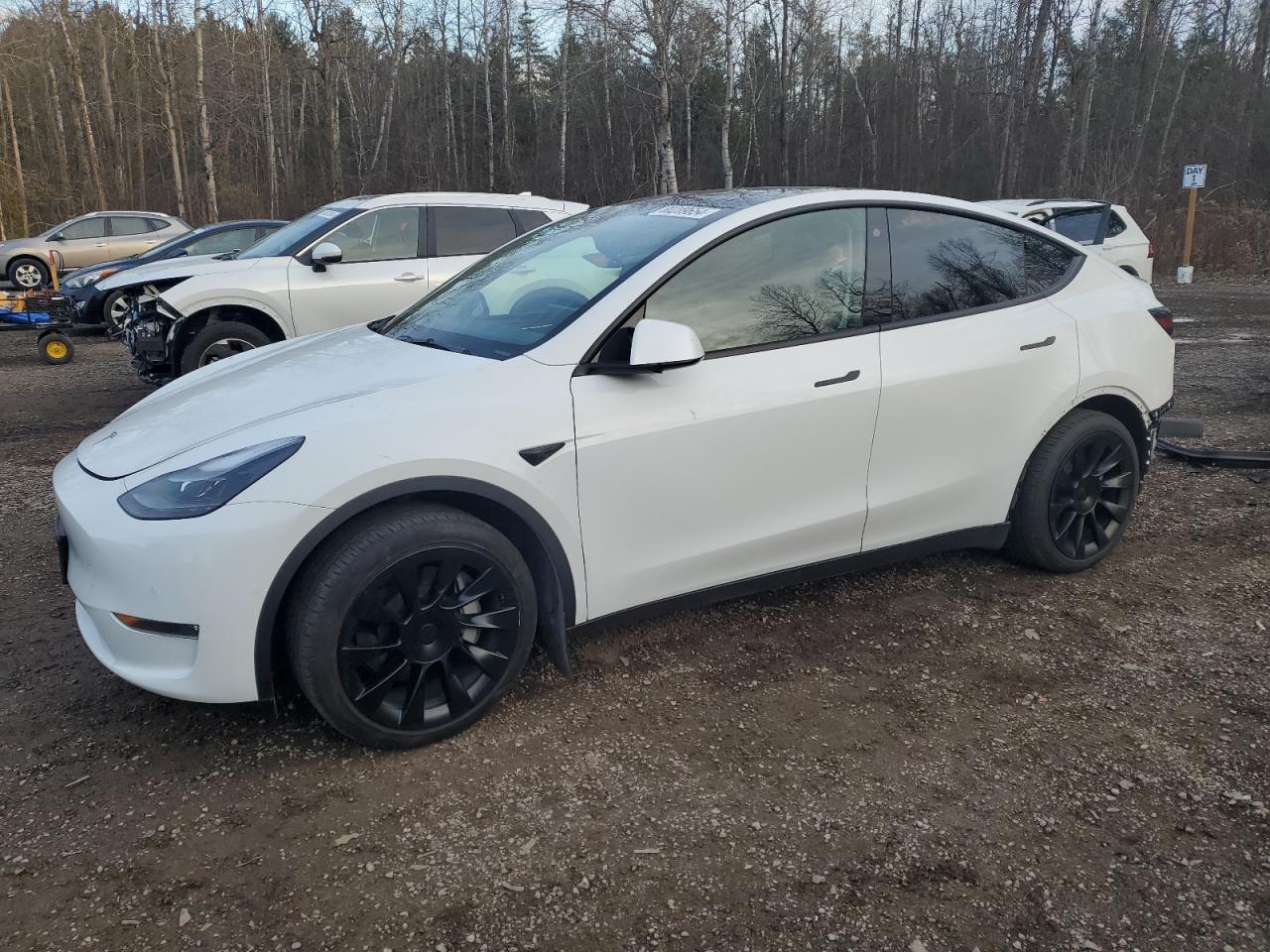 2022 TESLA MODEL Y  VIN:7SAYGAEE3NF514817