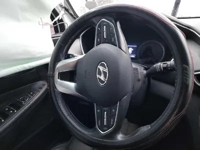 2019 Hyundai Santa FE KMHS581CBKU116989 VIN:KMHS581CBKU116989