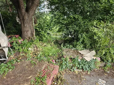 2017 BMW 118 WBA1S5101H5G76546 VIN:WBA1S5101H5G76546