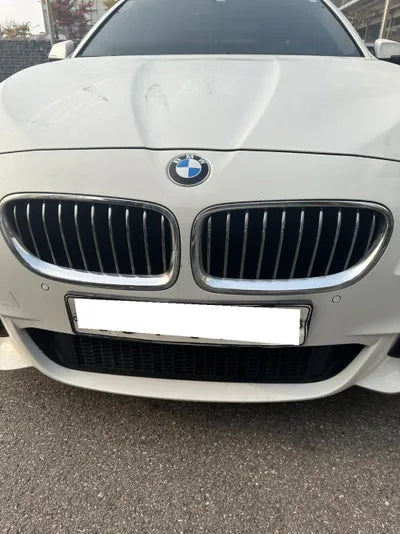 2015 BMW 520 WBA5E5102GG067314 VIN:WBA5E5102GG067314