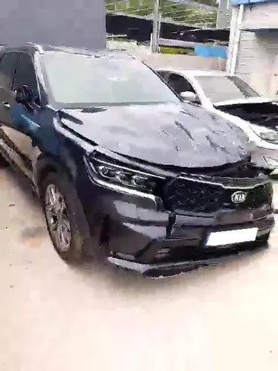 2020 Kia Sorento KNARH81BGMA053875 VIN:KNARH81BGMA053875