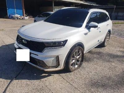 2021 Kia Sorento KNARH81BGMA088258 VIN:KNARH81BGMA088258