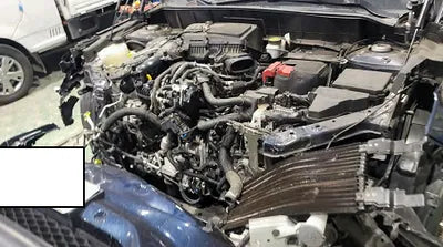 2019 Infiniti QX50 3PCAJ5M33KF131902 VIN:3PCAJ5M33KF131902