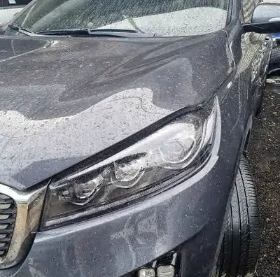 2018 Kia Sorento KNAPG81BBJA461483 VIN:KNAPG81BBJA461483