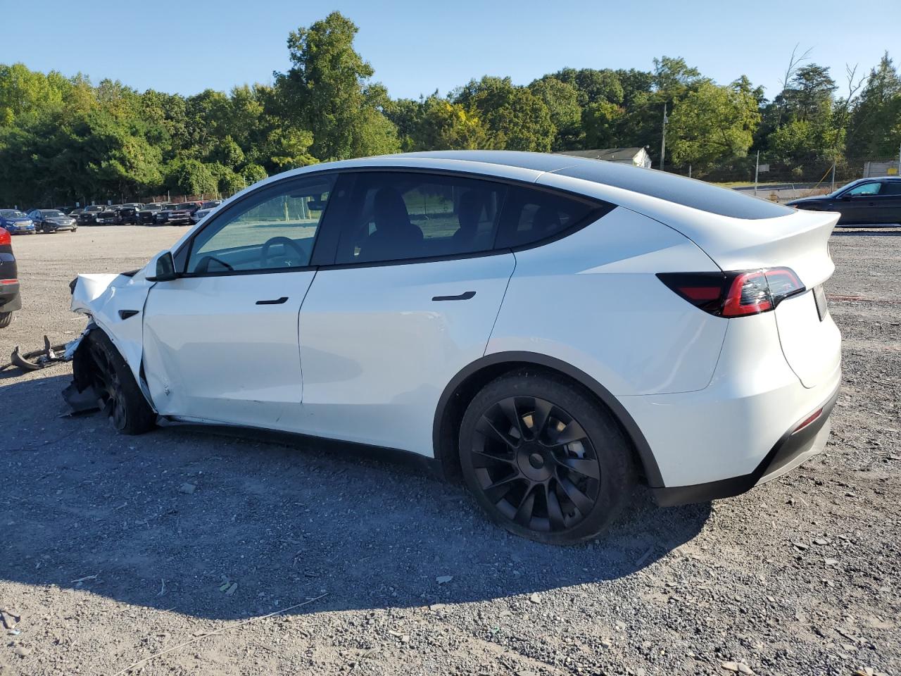 2023 TESLA MODEL Y  VIN:7SAYGDEEXPA105845