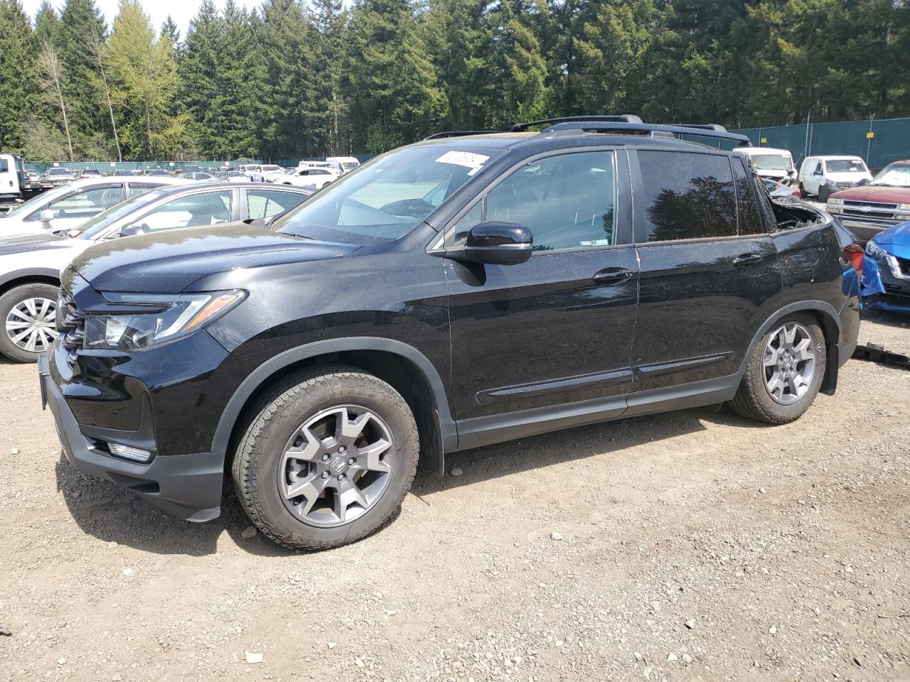 2022 HONDA PASSPORT TRAIL SPORT VIN:5FNYF8H61NB008089