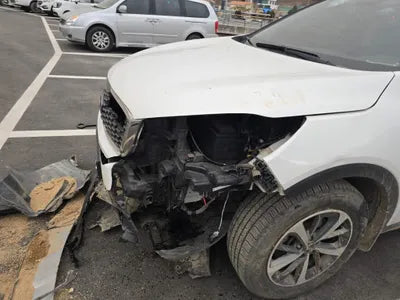 2019 Kia Sorento KNAPG81BDKA540068 VIN:KNAPG81BDKA540068