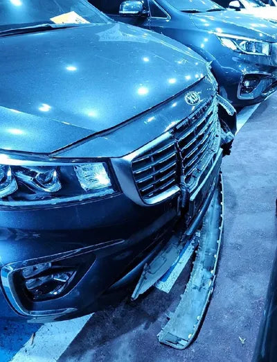 2019 Kia Carnival KNAME81ABKS475789 VIN:KNAME81ABKS475789