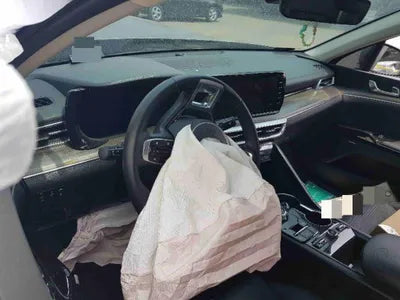 2020 Kia K5 KNAG241BBLA021569 VIN:KNAG241BBLA021569