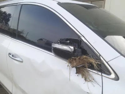 2018 Kia Sorento KNAPH81BDKA479311 VIN:KNAPH81BDKA479311
