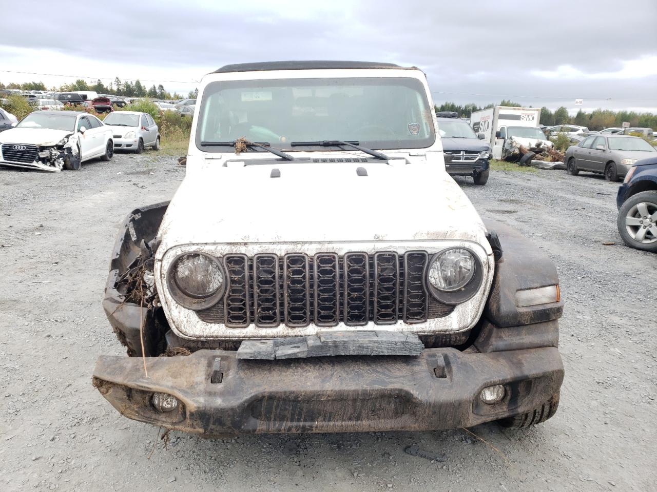2024 JEEP WRANGLER SPORT VIN:1C4PJXAG4RW273324