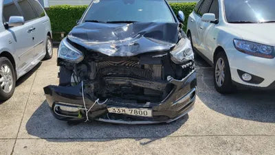 2018 Hyundai Santa FE KMHSW81XBJU799743 VIN:KMHSW81XBJU799743