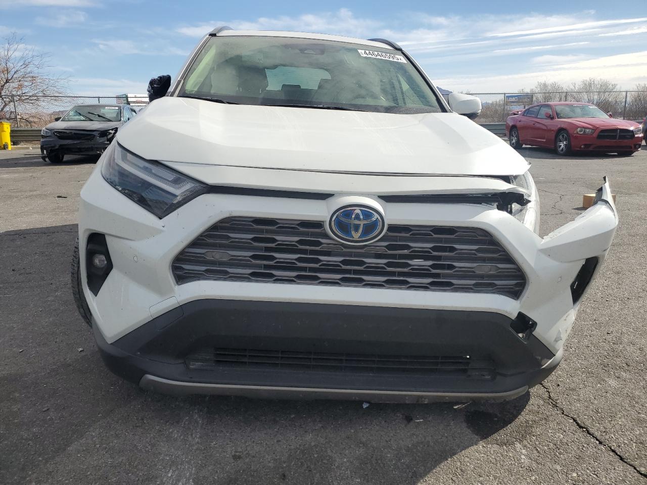 2023 TOYOTA RAV4 LIMITED VIN:JTMD6RFV3PJ035014