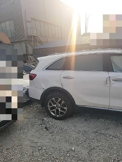 2019 Kia Sorento KNAPH81BBLA612488 VIN:KNAPH81BBLA612488