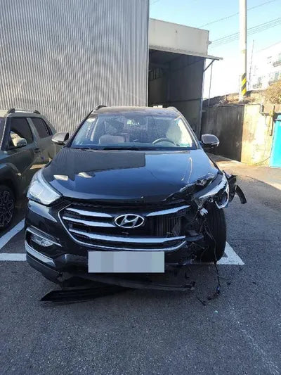 2016 Hyundai Santa FE 972KMKMHSW81UDGU5 VIN:972KMKMHSW81UDGU5