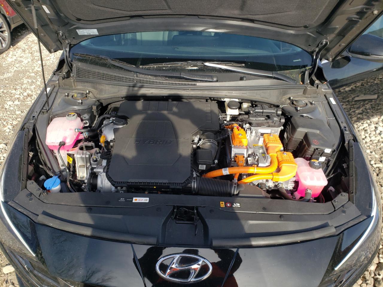 2023 HYUNDAI ELANTRA LIMITED VIN:KMHLN4AJ8PU075976