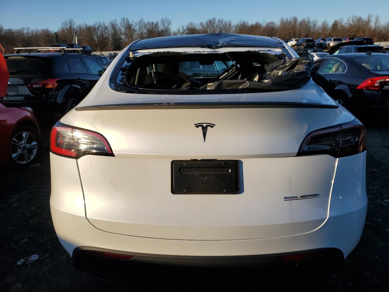 2024 TESLA MODEL Y  VIN:7SAYGDEF1RA261719