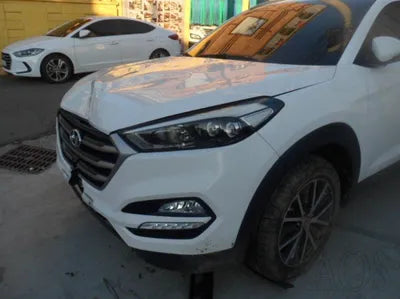 2017 Hyundai Tucson KMHJ381ABHU326035 VIN:KMHJ381ABHU326035