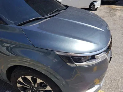 2021 Kia Carnival KNANC813BMS126332 VIN:KNANC813BMS126332