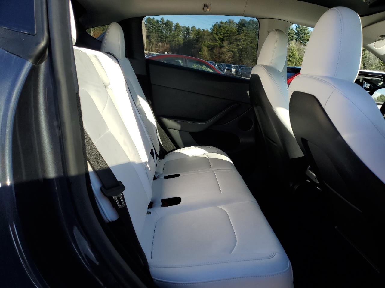 2023 TESLA MODEL Y  VIN:7SAYGDEE6PF884129