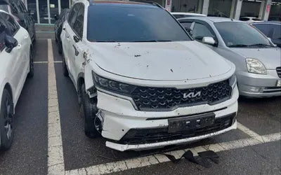 2023 Kia Sorento KNARL81GBPA135233 VIN:KNARL81GBPA135233