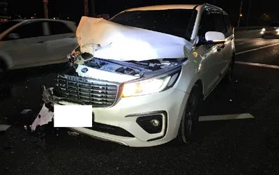 2019 Kia Carnival KNAMB81ABKS575292 VIN:KNAMB81ABKS575292