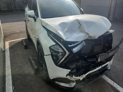 2022 Kia Sportage KNAPV81BGNK062802 VIN:KNAPV81BGNK062802