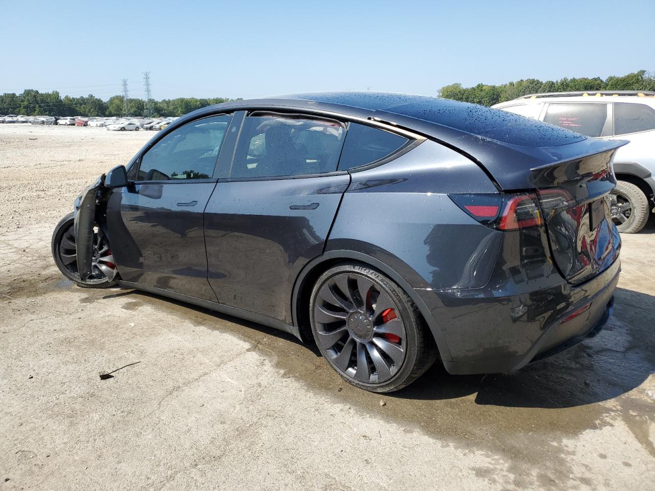 2024 TESLA MODEL Y  VIN:7SAYGDEF5RF038666