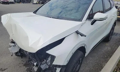 2022 Kia Sportage KNAPV81BGNK023585 VIN:KNAPV81BGNK023585