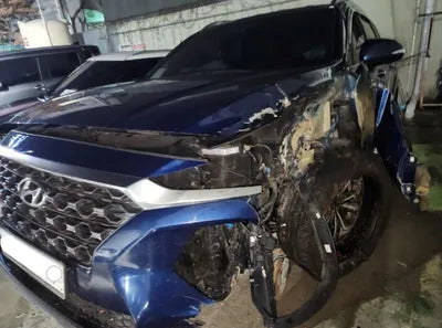 2019 Hyundai Santa FE KMHS381BBKU059206 VIN:KMHS381BBKU059206