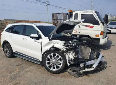 2020 Kia Sorento KNARK81BGMA038540 VIN:KNARK81BGMA038540