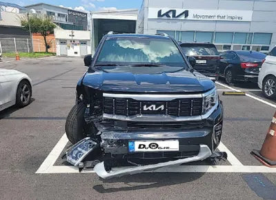 2022 Kia Mohave KNAKM814DNA241764 VIN:KNAKM814DNA241764