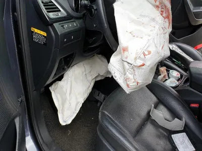 2015 Hyundai Santa FE KMHSW81XDFU418422 VIN:KMHSW81XDFU418422