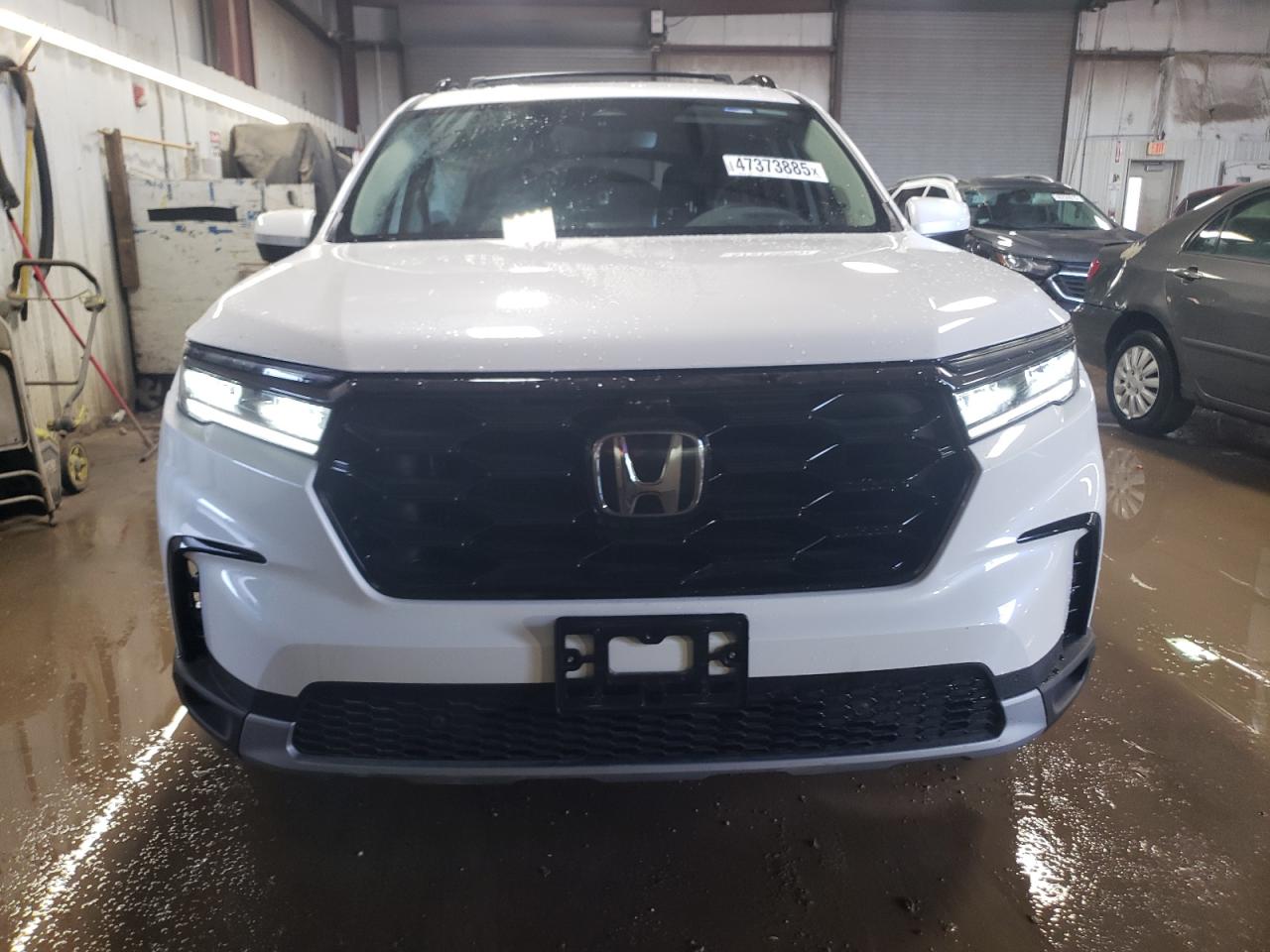 2024 HONDA PILOT ELITE VIN:5FNYG1H80RB033478