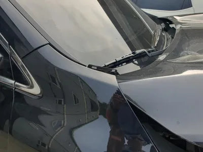 2019 Kia Sorento KNAPS81ABLA614119 VIN:KNAPS81ABLA614119