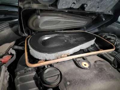 2017 bmw gran turismo efficientdyna VIN: