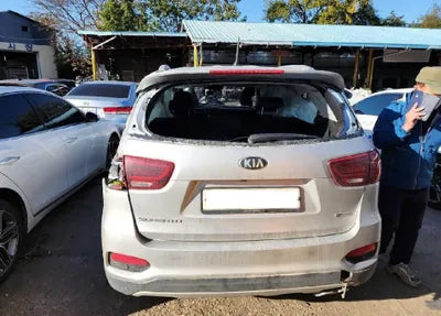 2020 Kia Sorento KNAPG81BBLA610348 VIN:KNAPG81BBLA610348