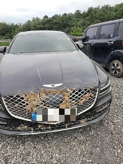 2020 Genesis G80 VIN: