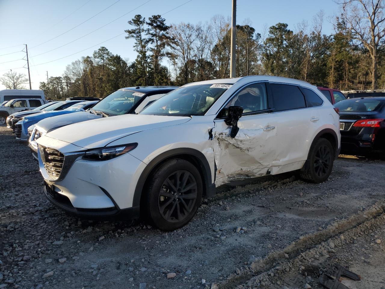 2022 MAZDA CX-9 TOURING PLUS VIN:JM3TCBAY0N0607986