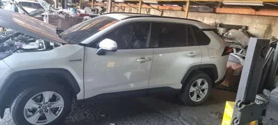 2019 Toyota RAV4 JTMW2RFV8KD024893 VIN:JTMW2RFV8KD024893