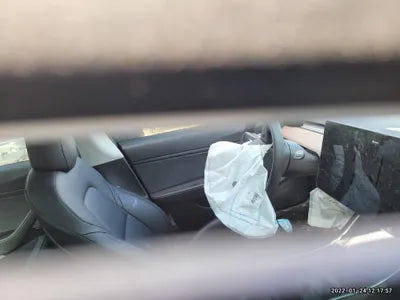 2020 Tesla Model 3 5YJ3E1EB1LF809771 VIN:5YJ3E1EB1LF809771