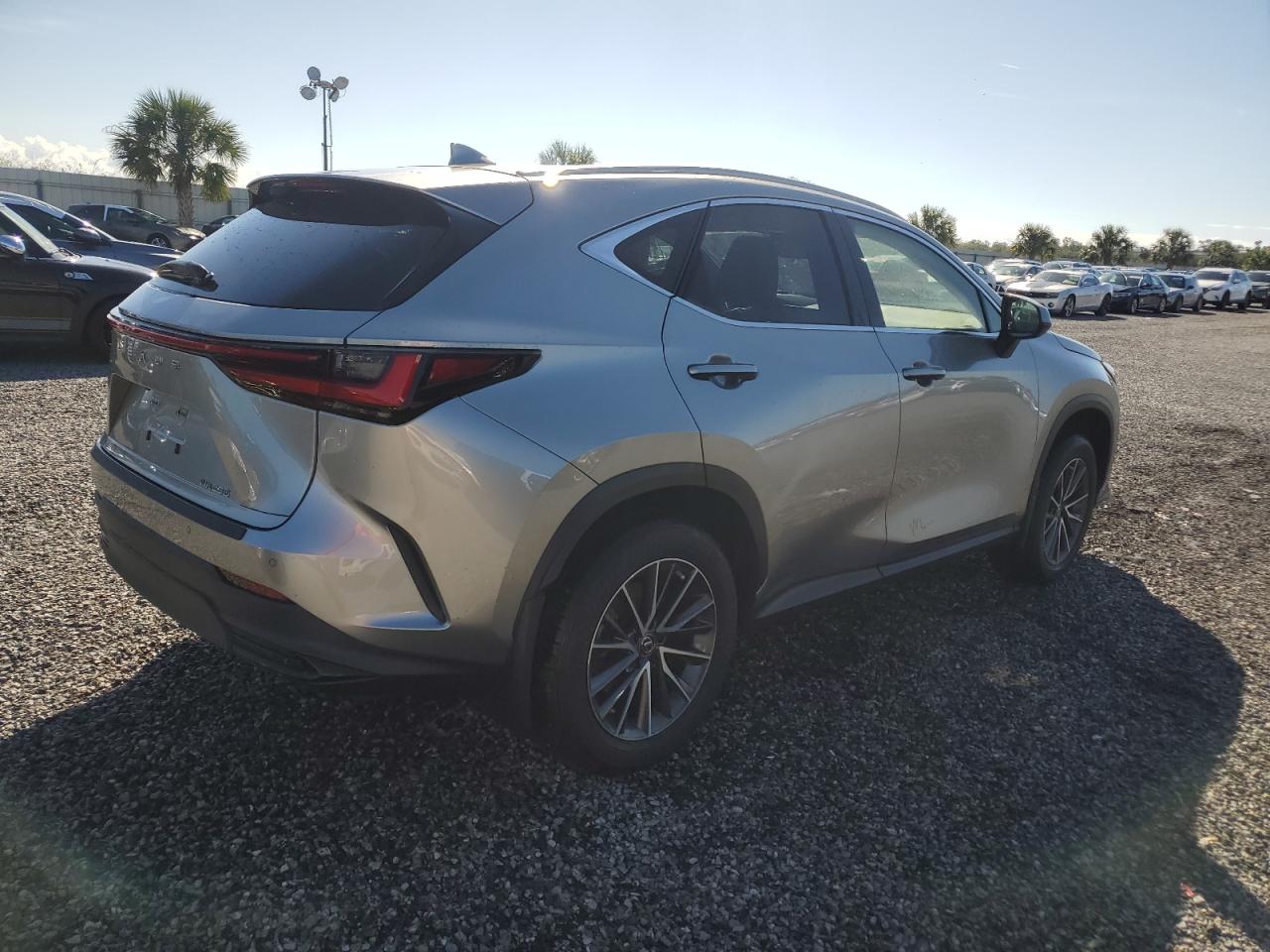 2022 LEXUS NX 250 VIN:JTJGDCAZ9N5002290