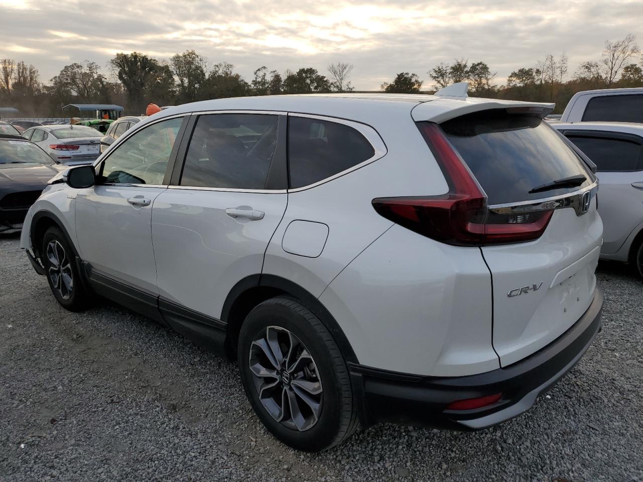 2022 HONDA CR-V EXL VIN:5J6RT6H81NL037683