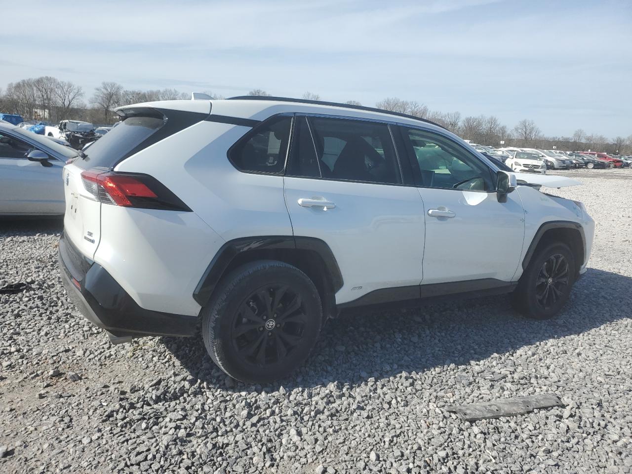 2023 TOYOTA RAV4 SE VIN:JTM16RFV1PD086688
