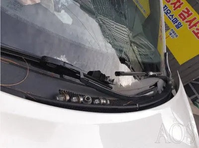 2016 Kia Carnival KNAMB81ABGS161928 VIN:KNAMB81ABGS161928