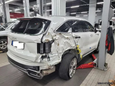 2023 Kia Sorento KNARL81BGPA193571 VIN:KNARL81BGPA193571