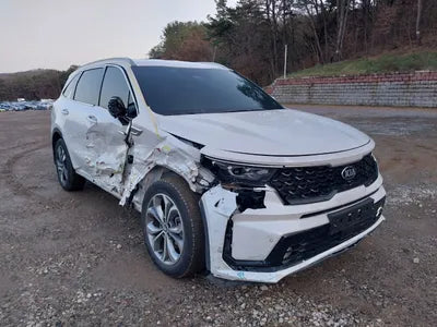 2021 Kia Sorento KNARM81GBMA006272 VIN:KNARM81GBMA006272