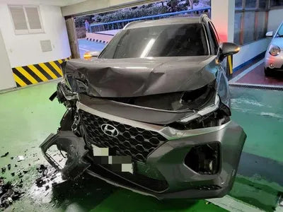 2019 Hyundai Santa FE KMHS381BBLU201216 VIN:KMHS381BBLU201216