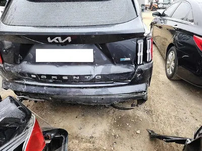 2022 Kia Sorento KNARH81GBNA101047 VIN:KNARH81GBNA101047