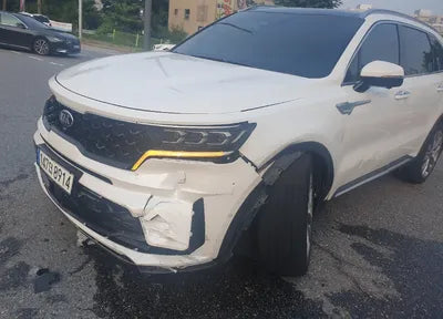 2021 Kia Sorento KNARF81BHMA034257 VIN:KNARF81BHMA034257